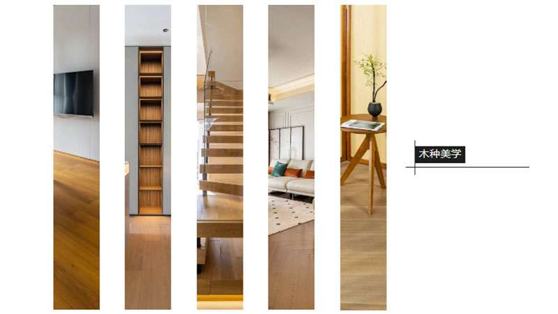 想要高級感，選對木種是關鍵！看天格地板如何用不同木種打造高端家居美學